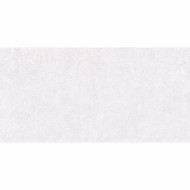 Фаянс 30/60 Варезе Светло сива 4640