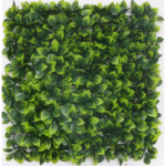 Растения GREEN WALL >> ICNT 125050