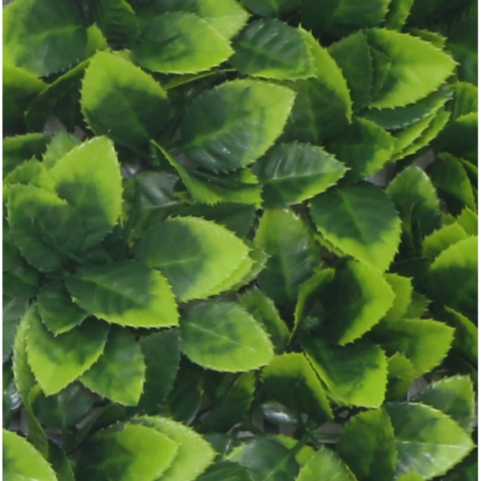 Растения GREEN WALL >> ICNT 125050 - Image 2