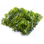 Растения GREEN WALL >> ICNT 135050