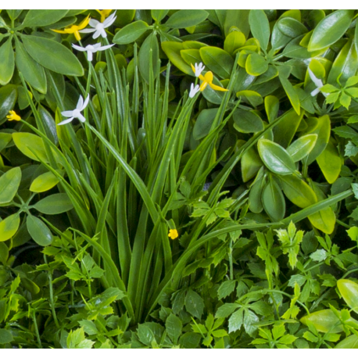 Растения GREEN WALL >> ICNT 135050 - Image 2