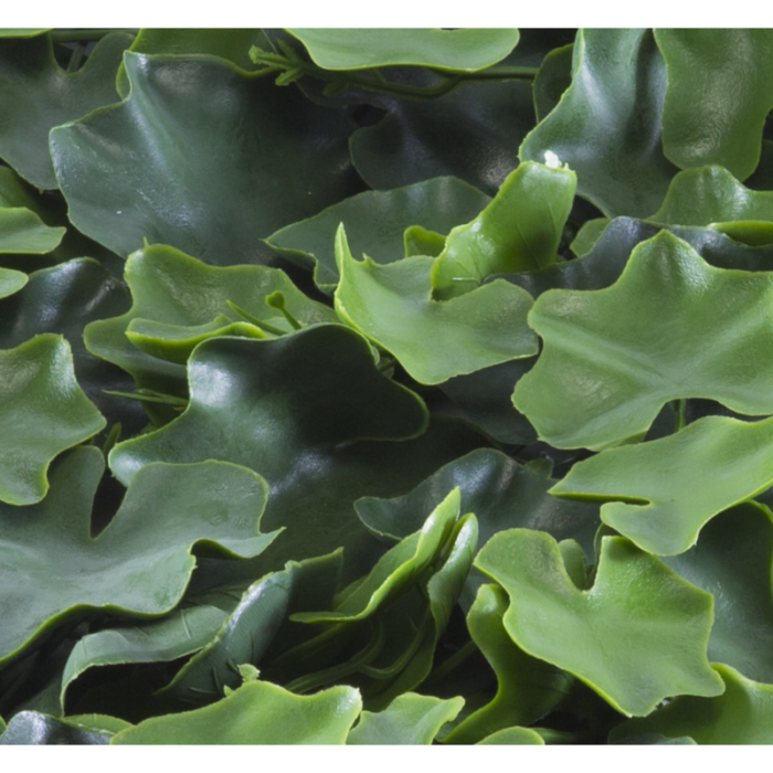 Растения GREEN WALL >> ICNT 155050 - Image 2