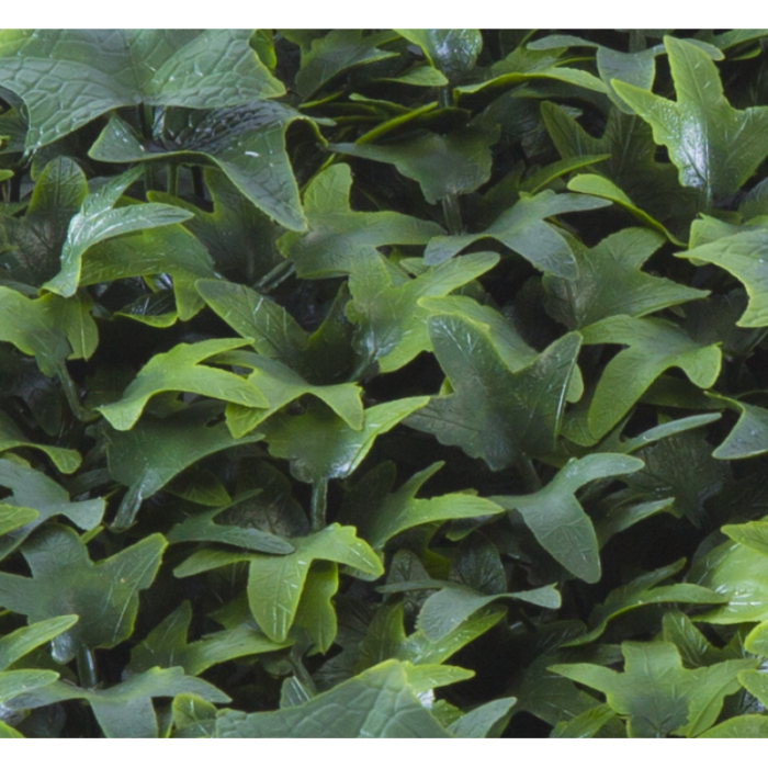 Растения GREEN WALL >> ICNT 165050 - Image 2