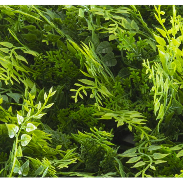 Растения GREEN WALL >> ICNT 175050 - Image 2