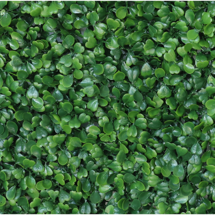 Растения GREEN NATURE>> ICNT 190039 - Image 2