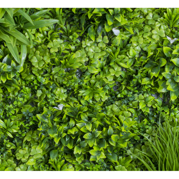 Растения GREEN WALL >> ICNT 19100100 - Image 2