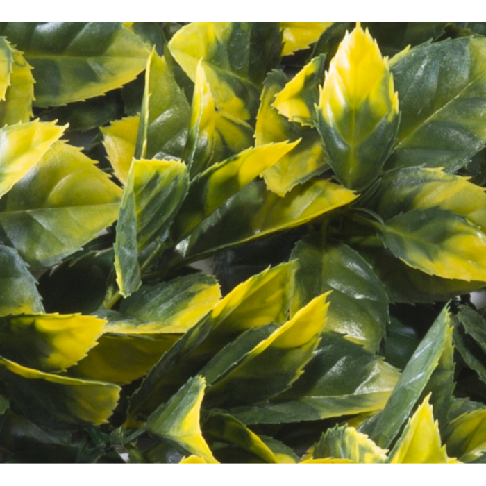 Растения GREEN WALL >> ICNT 195050 - Image 2