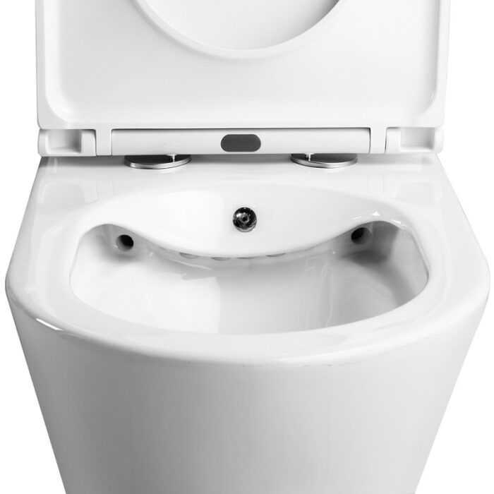 Моноблок ICC 7937P BIDET - Image 3